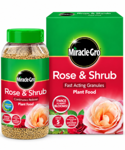 miracle gro rose & shrub continuous release plant food – boost blooms & green leaves | 1kg