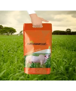 Premium Mombasa Grass Seeds - Fast-Growing