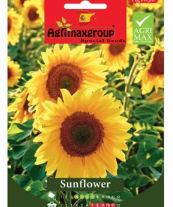 Bright, Tall Blooms for Garden Beauty