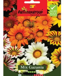 Vibrant Sun-Loving Flowers