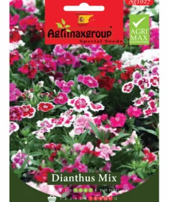 Colorful Perennial Blooms