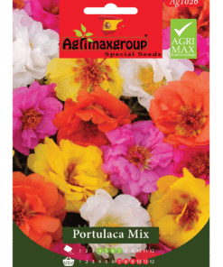 Colorful, Sun-Loving Blooms