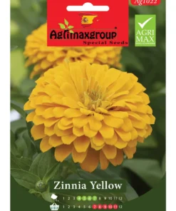 Bright & Vibrant Blooms for Sunlit Gardens