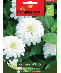 Elegant White Blooms for Classic Gardens