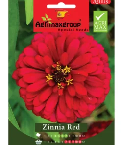 Bold Red Blooms for a Striking Garden