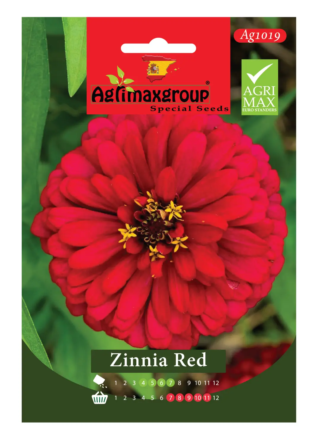 agrimaxgroup zinnia red seeds (ag1019) – bold red blooms for a striking garden Bold Red Blooms for a Striking Garden