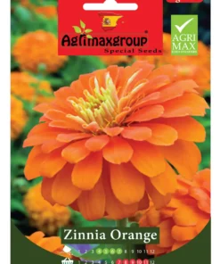 Bright Orange Blooms for a Vibrant Garden