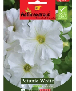 Classic White Blooms for a Crisp Garden Display