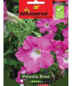 Soft Pink Blooms for a Graceful Garden Touch