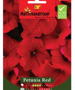 Bright Red Blooms for Vibrant Garden Appeal