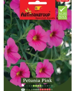 Vibrant Pink Blooms for Stunning Garden Display