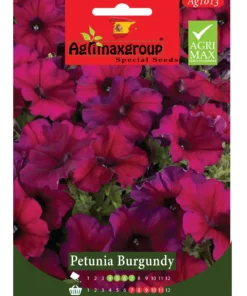 Rich Burgundy Petunias for Garden Elegance