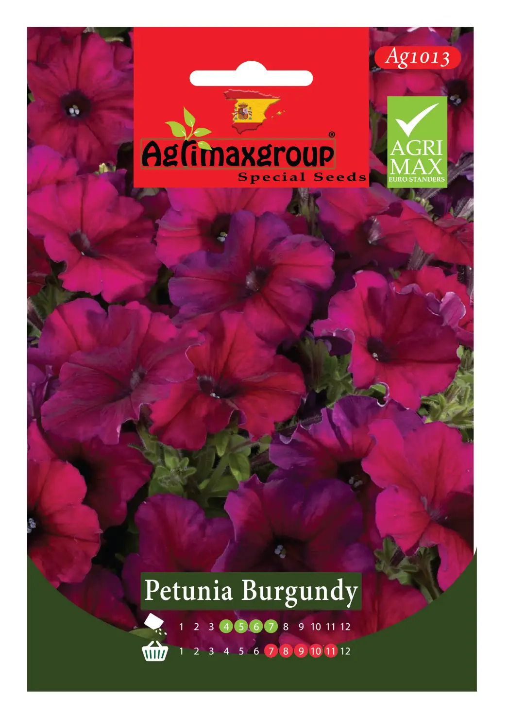 agrimaxgroup petunia burgundy seeds (ag1013) – rich burgundy petunias for garden elegance Rich Burgundy Petunias for Garden Elegance