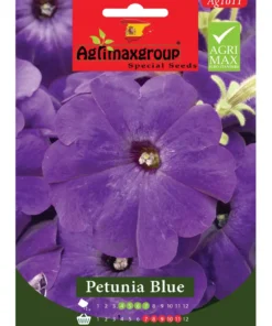 Bright Blue Blooms for Gardens & Pots