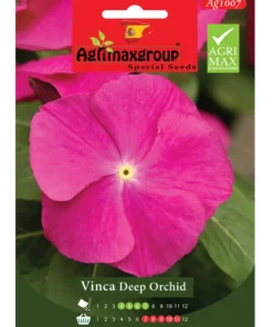 Agrimaxgroup Vinca Deep Orchid Seeds (Ag1007)