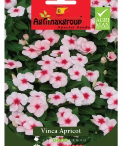 Agrimaxgroup Vinca Apricot Seeds (Ag1005)