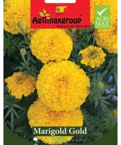 Bright Yellow Blooms for Gardens & Borders