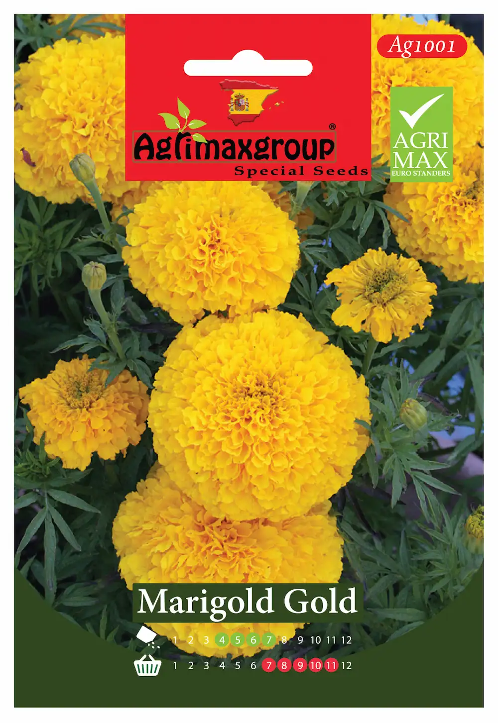 agrimaxgroup marigold gold seeds (ag1001) – bright yellow blooms for gardens & borders Bright Yellow Blooms for Gardens & Borders