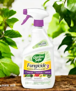 garden safe fungicide 3