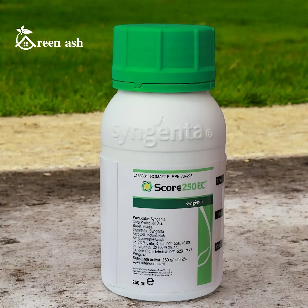 score 250 ec fungicide effective protection against fungal diseases 250ml Syngenta Score Fungicide