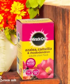 Miracle-Gro Azalea, Camellia & Rhododendron Soluble Plant Food.