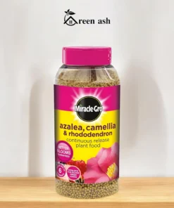 Miracle-Gro Azalea, Camellia