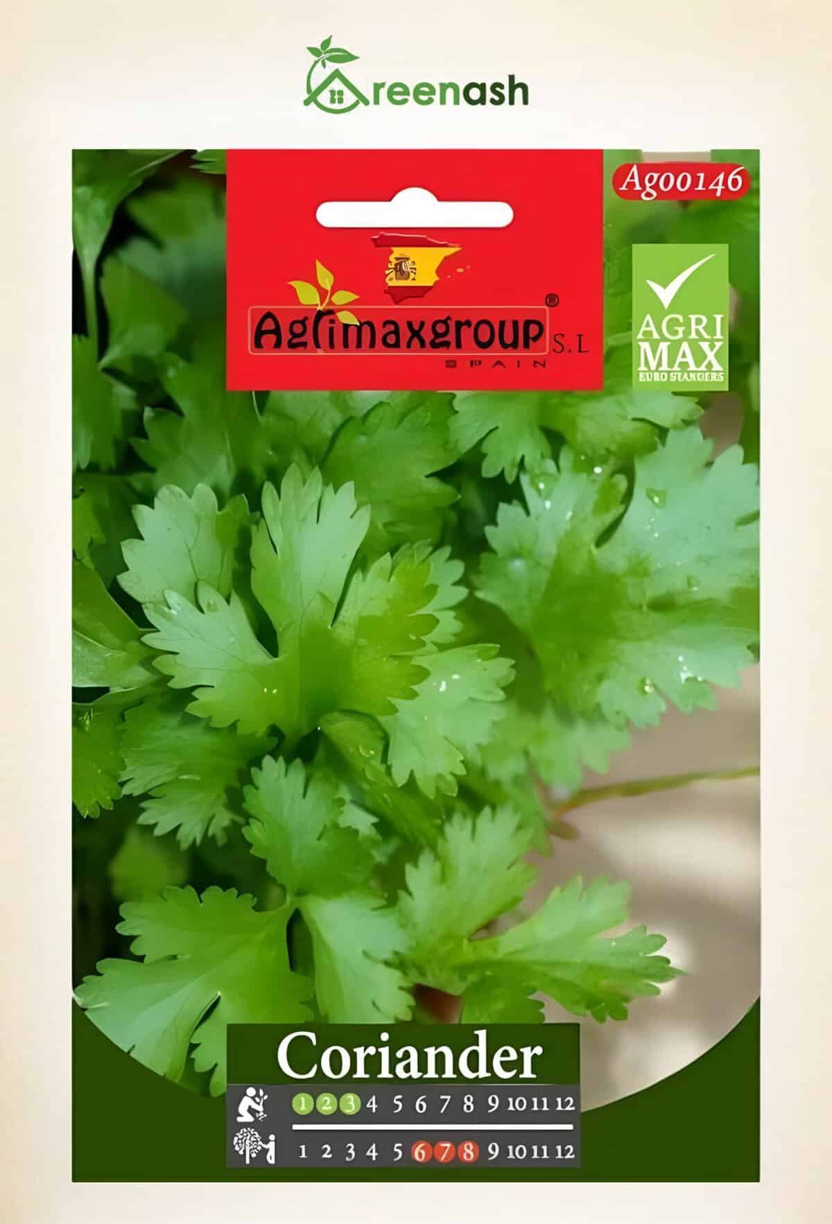 coriander seeds for home gardening | fast growing herb agrimax Coriander Seeds