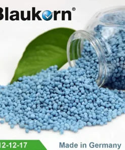 blaukorn 12 12 17