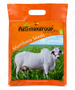 premium mombasa grass seeds fast growing, dense green pasture