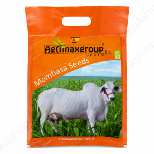 premium mombasa grass seeds fast growing, dense green pasture