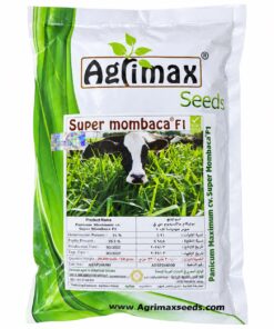 super mombaca f1 hybrid seeds – high yield forage grass