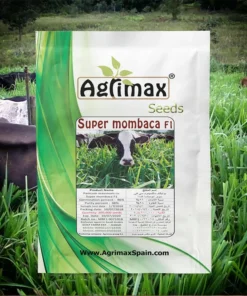 Super Mombaca 200K F1 Hybrid Seeds