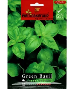 Green Basil Seeds