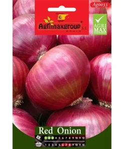 Red Onion Seeds