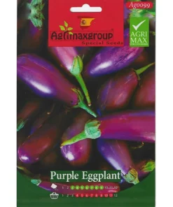 Purple Eggplant