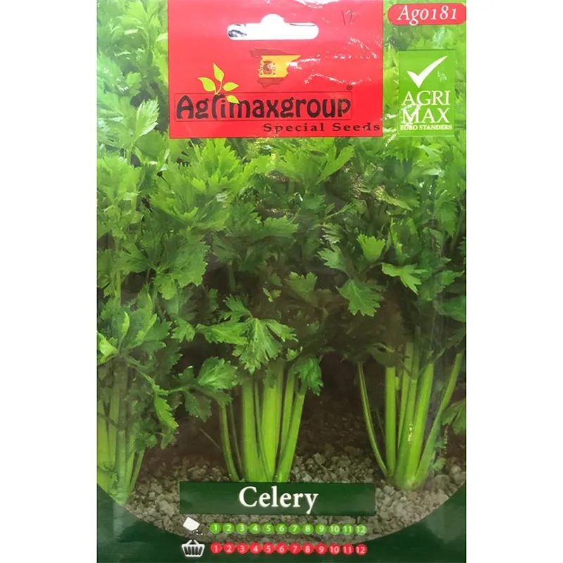 celery seeds – grow fresh, crisp celery for health & flavor Agrimax Celery Premium Quality Seeds