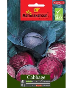 Red Cabbage Seeds
