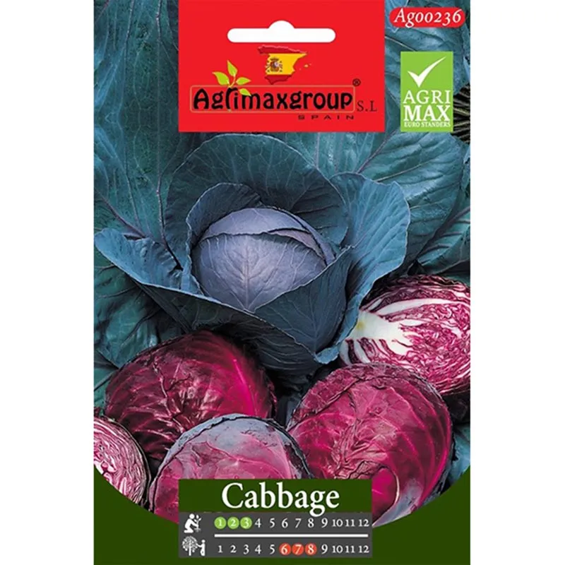 agrimax red cabbage premium quality seeds Red Cabbage Seeds