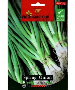 Easy-to-Grow Spring Onion Seeds