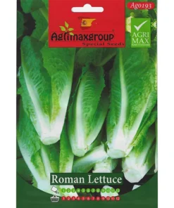 Roman Lettuce Seeds