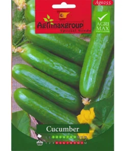 Premium Cucumber Seeds