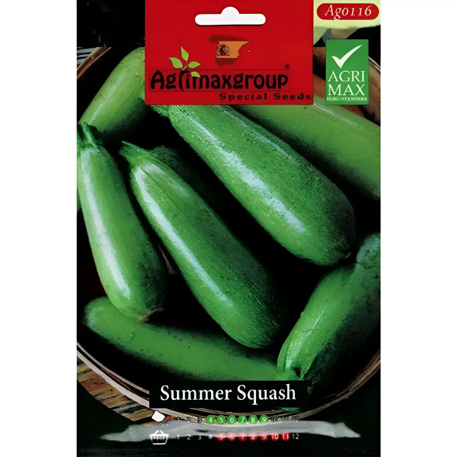 high yield summer squash seeds – grow fresh zucchini easily Premium Small Cucumber Seeds