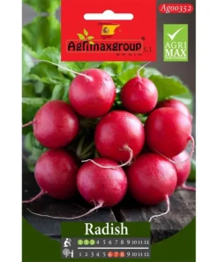 Fresh Radish Seeds