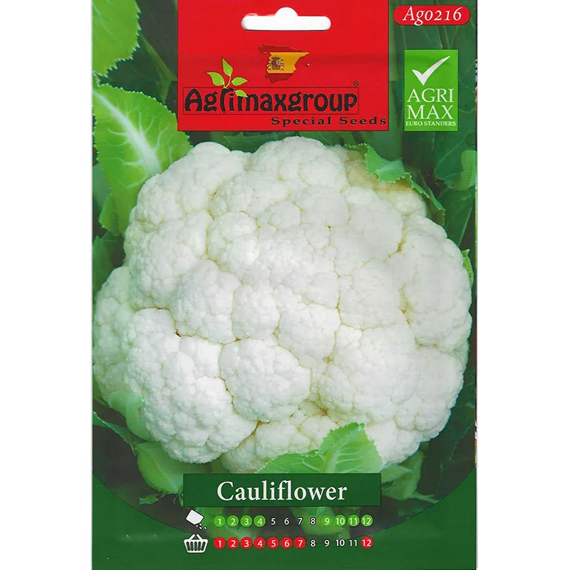 premium cauliflower seeds – grow fresh, nutritious cauliflower at home Agrimax Cauliflower Premium Quality Seeds