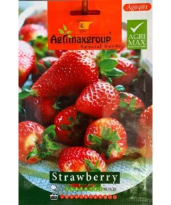 Premium Strawberry Seeds