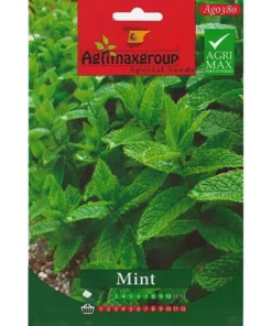 Fresh Mint Seeds - Grow Aromatic Mint