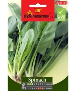 Premium Spinach Seeds - Fast-Growing