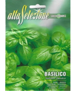 Basilico Italiano Classico