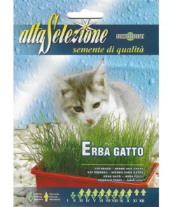 Erba Gatto