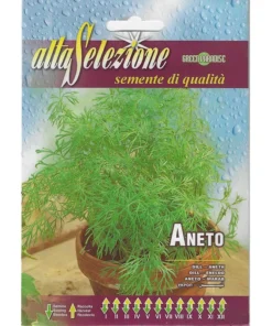 alta selezione dill (aneto) premium quality seeds – aromatic culinary and medicinal herb